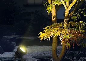 Đèn chiếu cây 10W - 220V ánh sáng  trắng vàng